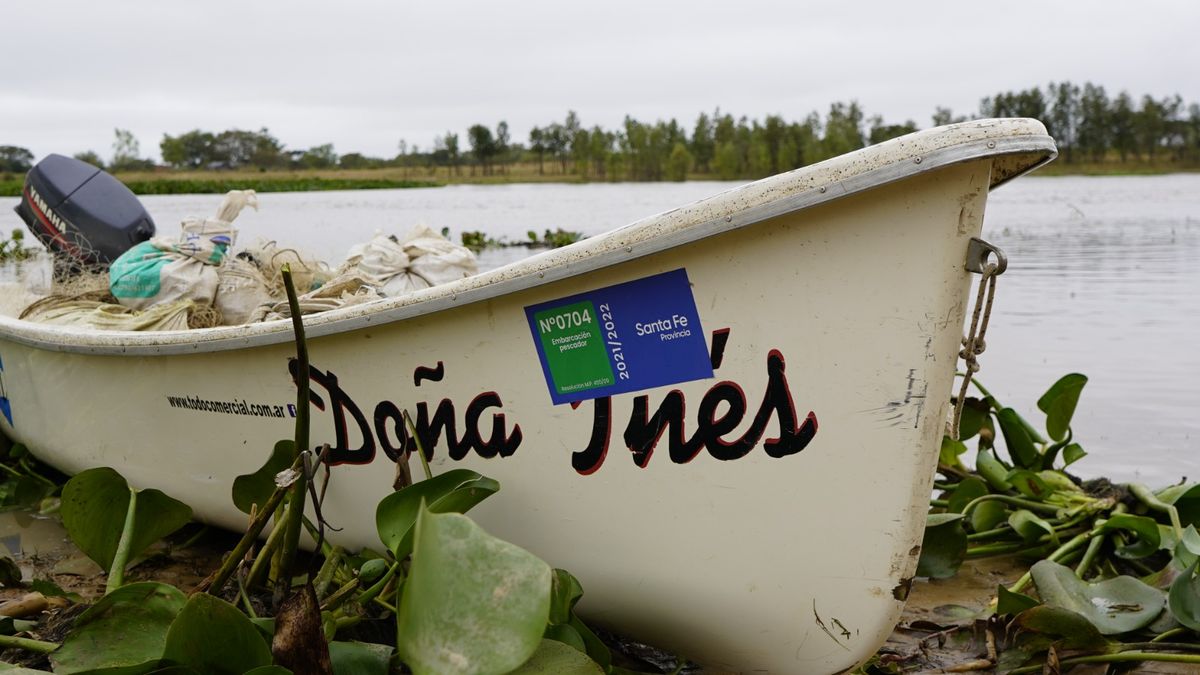 La comunidad de los pescadores artesanales también está englobada dentro de los programas de la Agricultura Familiar que recortará el gobierno de Javier Milei. La comunidad de los pescadores artesanales también está englobada dentro de los programas de la Agricultura Familiar que recortará el gobierno de Javier Milei.