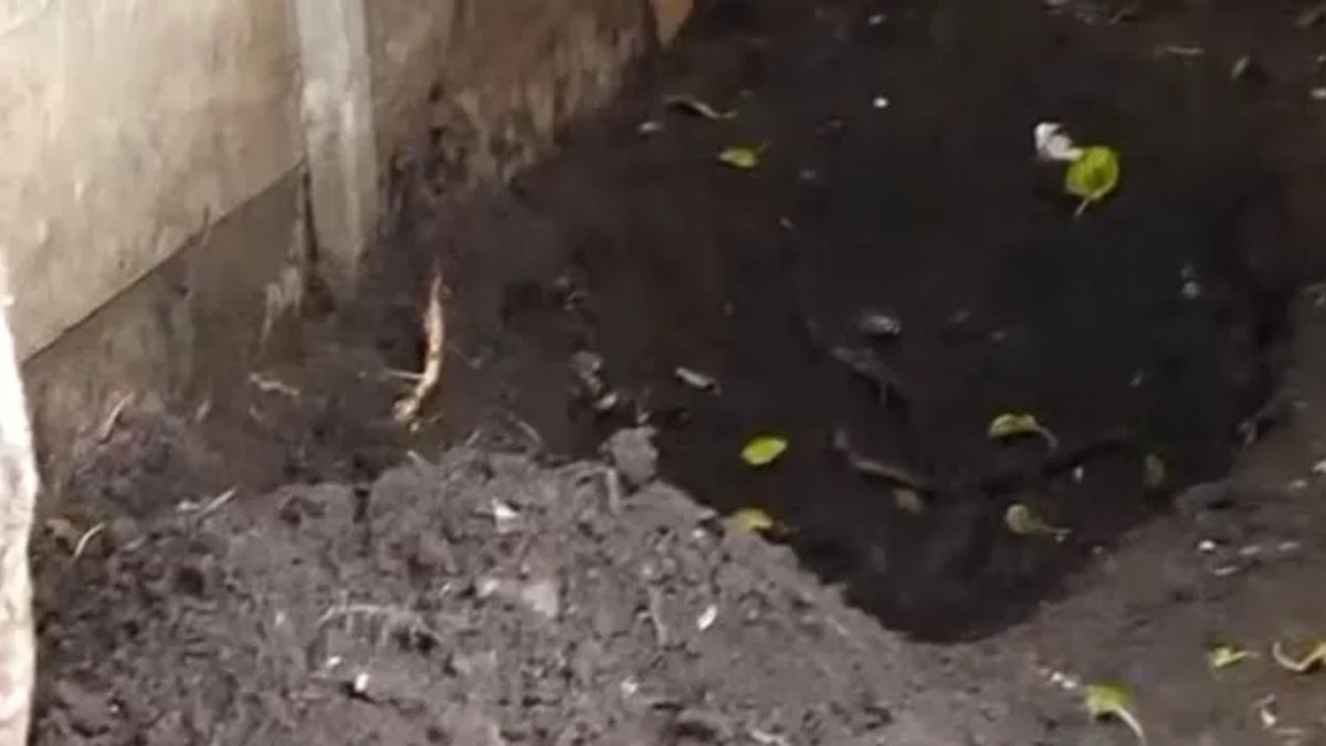 "Nunca más la vas a ver": la frase del acusado de femicidio que alertó al niño antes de realizar el macabro hallazgo en el patio de la vivienda de Claypole. "Nunca más la vas a ver": la frase del acusado de femicidio que alertó al niño antes de realizar el macabro hallazgo en el patio de la vivienda de Claypole.