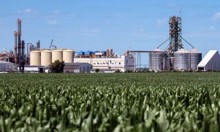Argentina cuenta con 22 plantas de bioetanol de las cuales 13 procesan derivados de caña de azúcar y nueve plantas procesan maíz. Además, existen 33 plantas de biodiesel. Argentina cuenta con 22 plantas de bioetanol de las cuales 13 procesan derivados de caña de azúcar y nueve plantas procesan maíz. Además, existen 33 plantas de biodiesel.