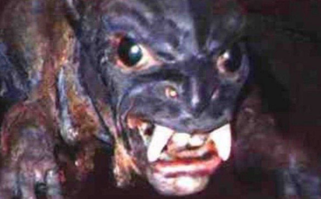 El miedo está impuesto en las calles y ni bien oscurece