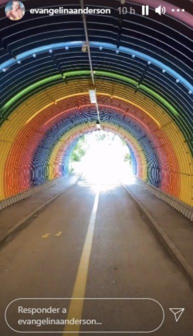 El colegio de los hijos de Evangelina Anderson y Martín Demichelis.