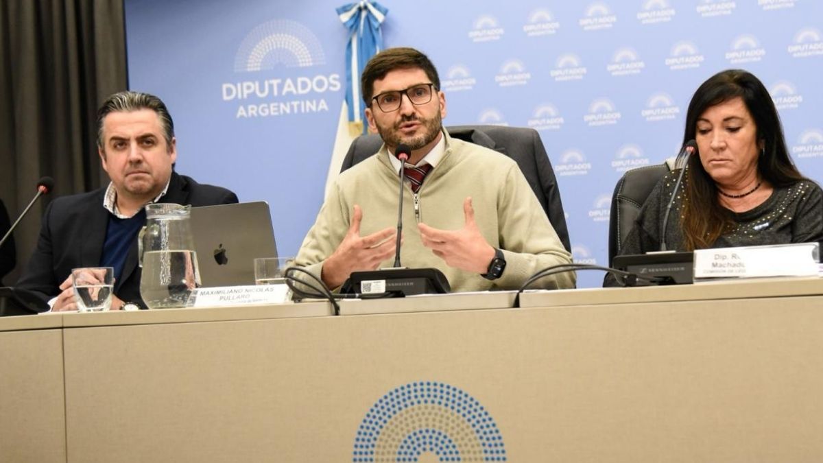 Tanto Pullaro como Cococcioni manifestaron su acuerdo general con el proyecto