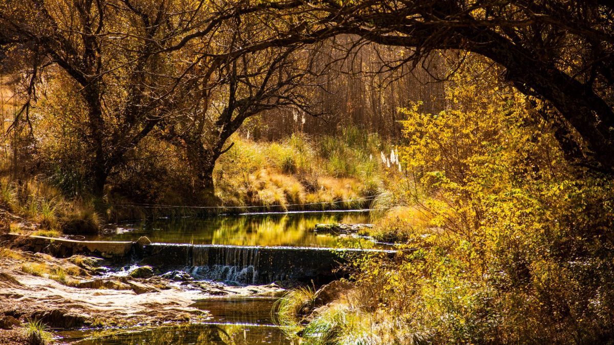 Las minas de oro de La Carolina, explotadas desde el siglo XVIII, funcionan hoy como museos vivos donde los visitantes exploran túneles originales y aprenden sobre la técnica de búsqueda de pepitas. Las minas de oro de La Carolina, explotadas desde el siglo XVIII, funcionan hoy como museos vivos donde los visitantes exploran túneles originales y aprenden sobre la técnica de búsqueda de pepitas.
