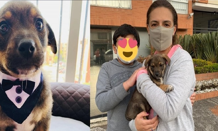 Una historia muy triste, con un final muy feliz: Vicente el perrito al que dejaron plantado el día de su adopción encontró familia Una historia muy triste, con un final muy feliz: Vicente el perrito al que dejaron plantado el día de su adopción encontró familia
