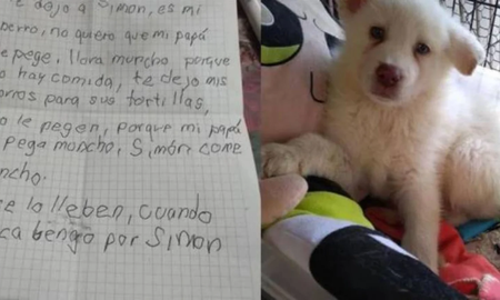 Niño aún le escribe cartas a Simón, el perrito que dejó en un refugio Niño aún le escribe cartas a Simón, el perrito que dejó en un refugio