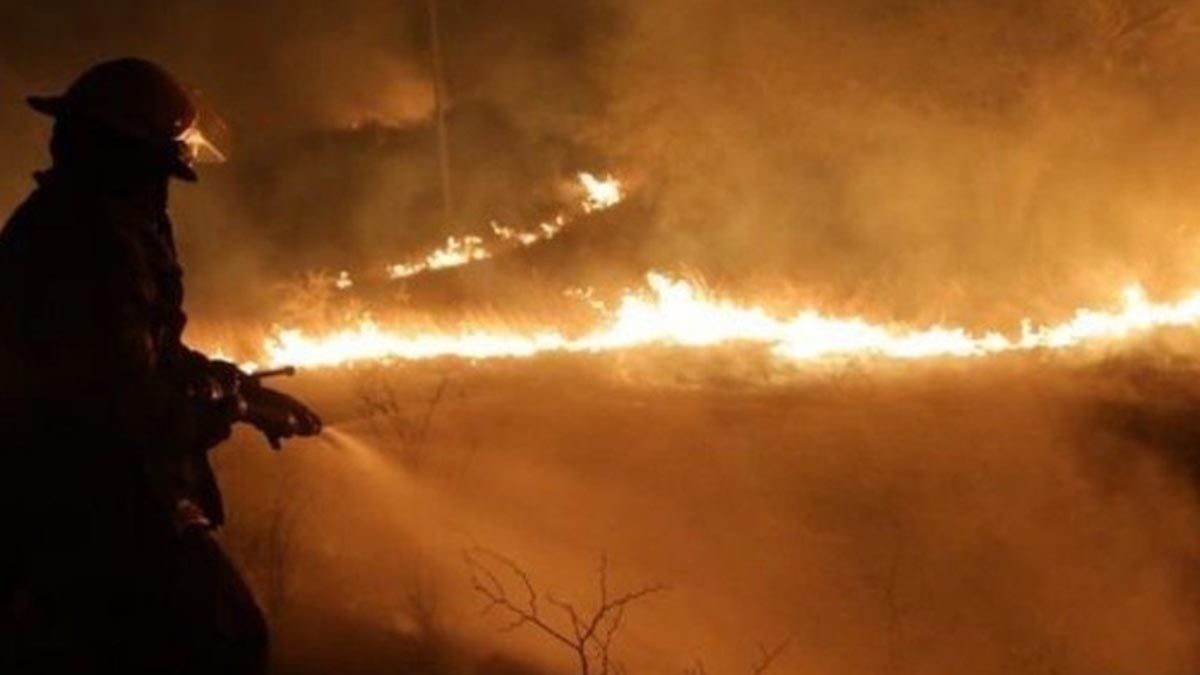 Los incendios en Córdoba están arrasando con la biodiversidad. Aseguran que la recuperación de los daños a la flora y la fauna dependerá de las condiciones climáticas y de las acciones del Estado a corto y mediano plazo.