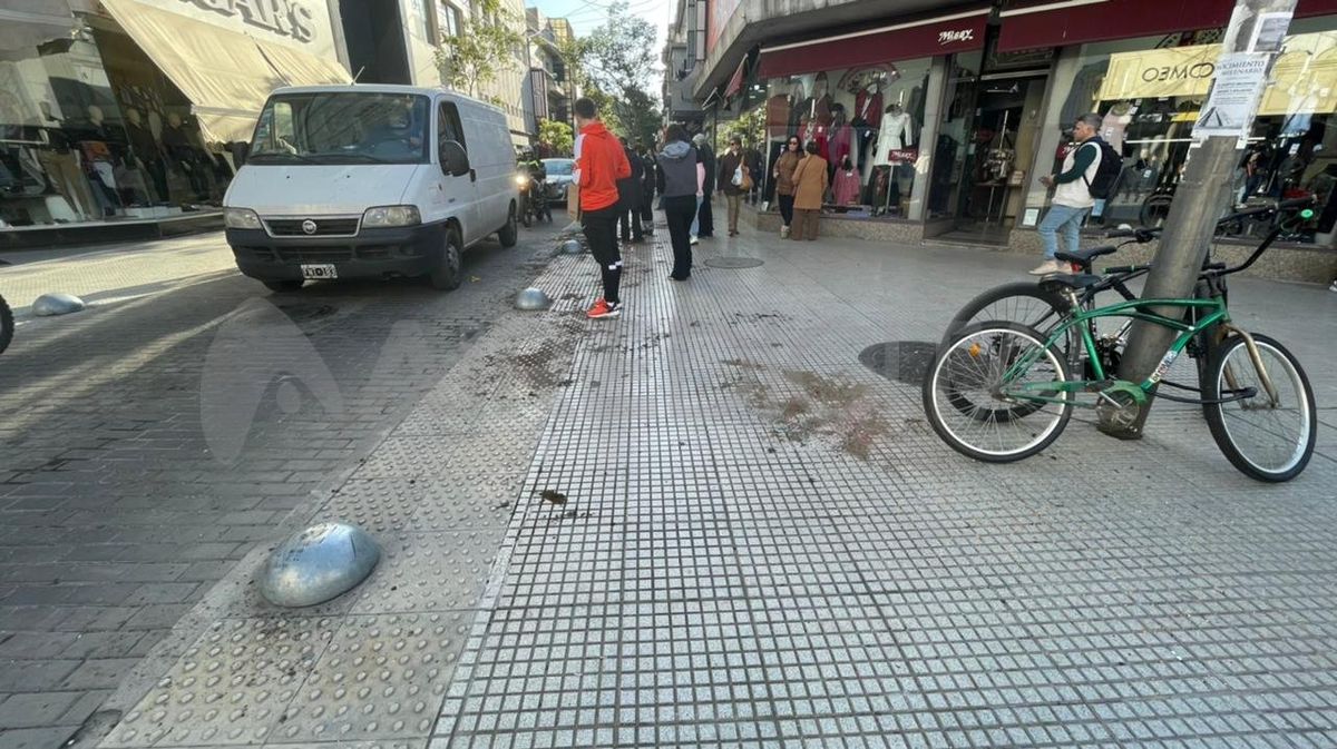 El florista aseguró que la Policía no le dio tiempo a nada y que se llevaron todas sus plantas.