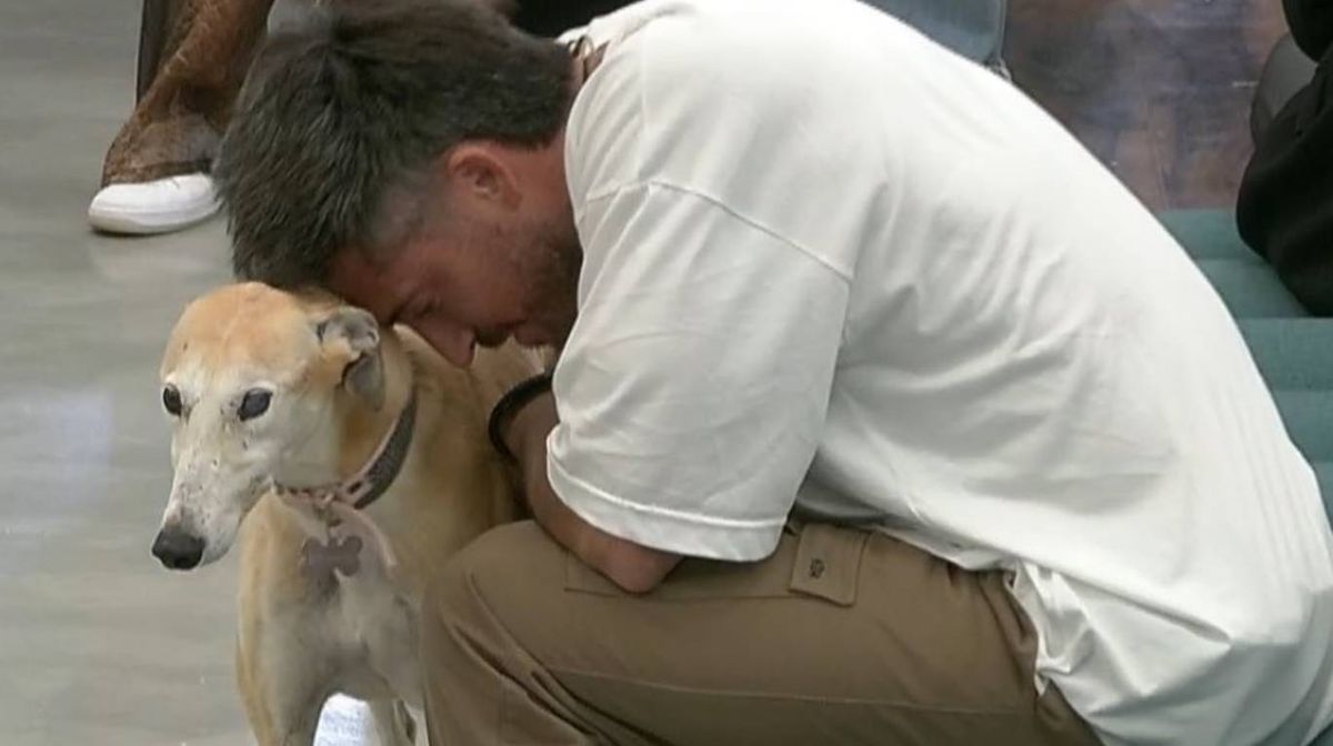 Paris volvió a la casa de Gran Hermano. Paris volvió a la casa de Gran Hermano.