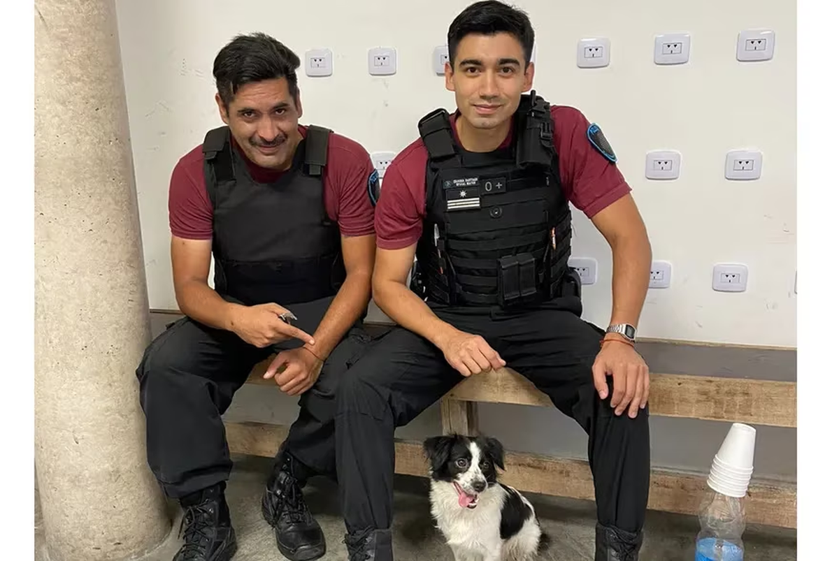 Ellie, como fue bautizada la perra, ya cuenta con una nueva familia, la adoptó un efectivo de la Policía de la Ciudad.