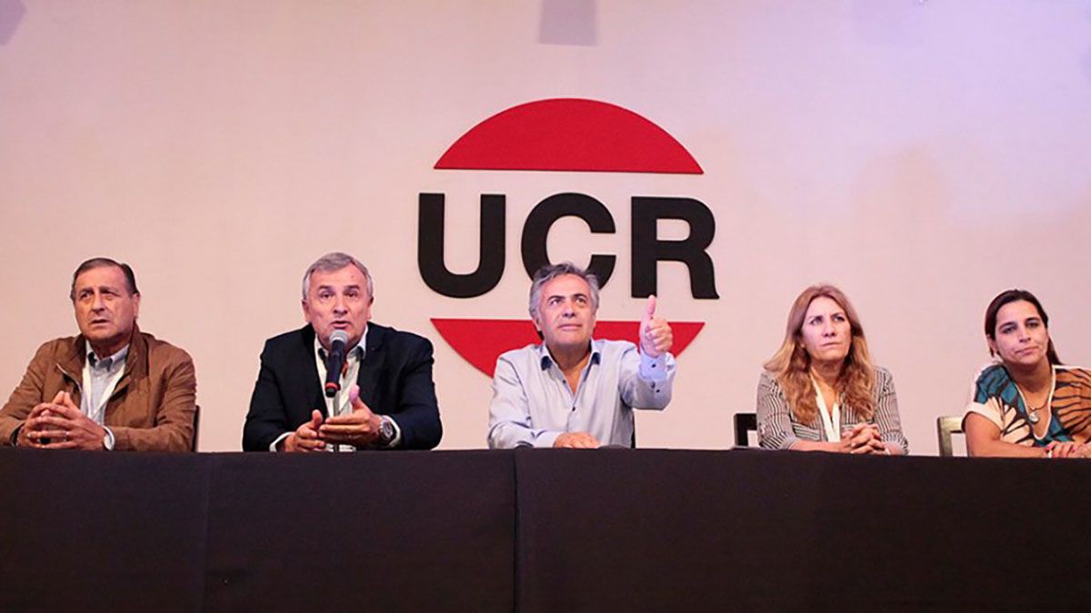 En una reuni&oacute;n por Zoom