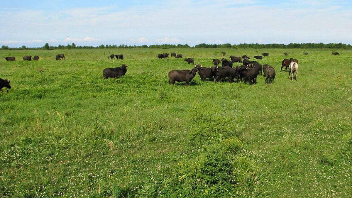 “Estamos ubicados en el reservorio de agua dulce más importante del país