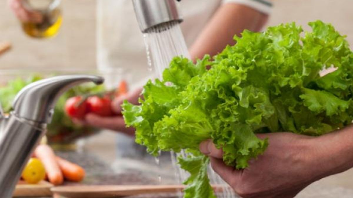 Un lavado incorrecto puede dejar microorganismos activos