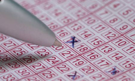 Eligieron este número en la lotería y ahora se reparten ocho millones de dólares