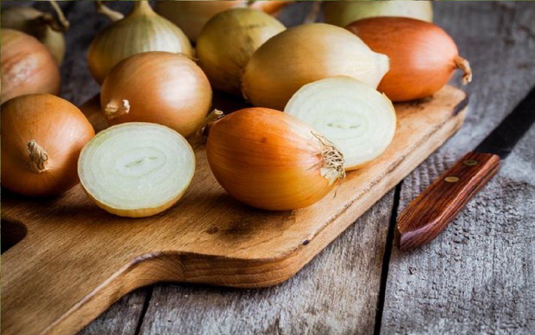 La cebolla es una planta herbácea bienal perteneciente a la familia de las amarilidáceas.