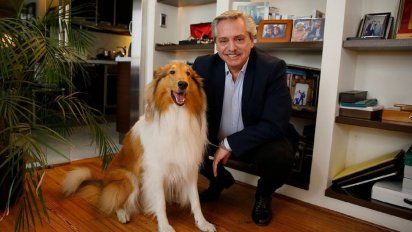 Murió Dylan, el perro del expresidente Alberto Fernández: el emotivo mensaje de despedida