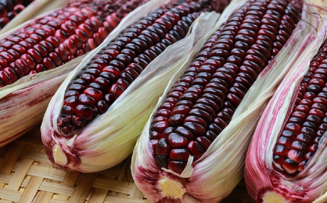 El superalimento que actúa como antiinflamatorio natural