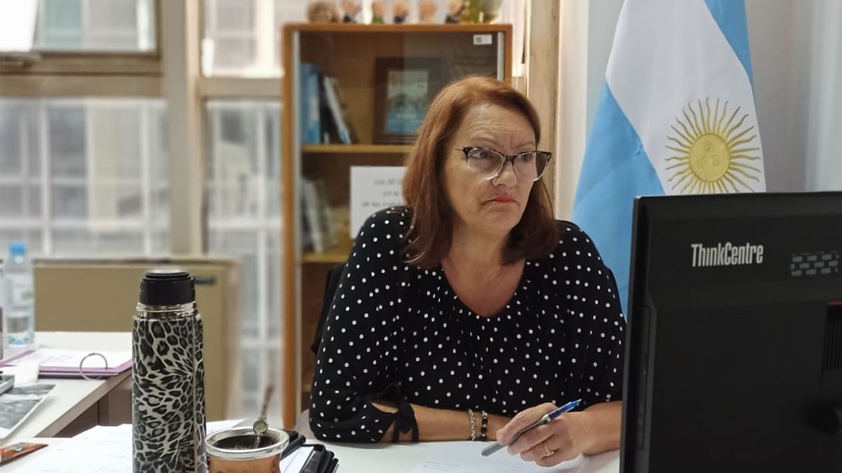 La diputada nacional Patricia Mounier (Frente de Todos) integra el Comité Coordinador del Observatorio Federal de la ESI .&nbsp;