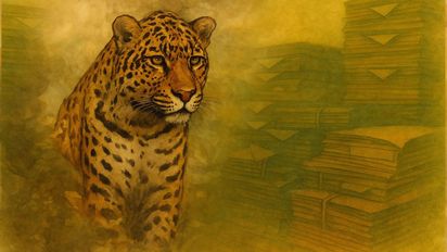 Los expedientes del yaguareté: de la caza en el Norte a las pieles en Buenos Aires, el delito que casi nunca llega a juicio