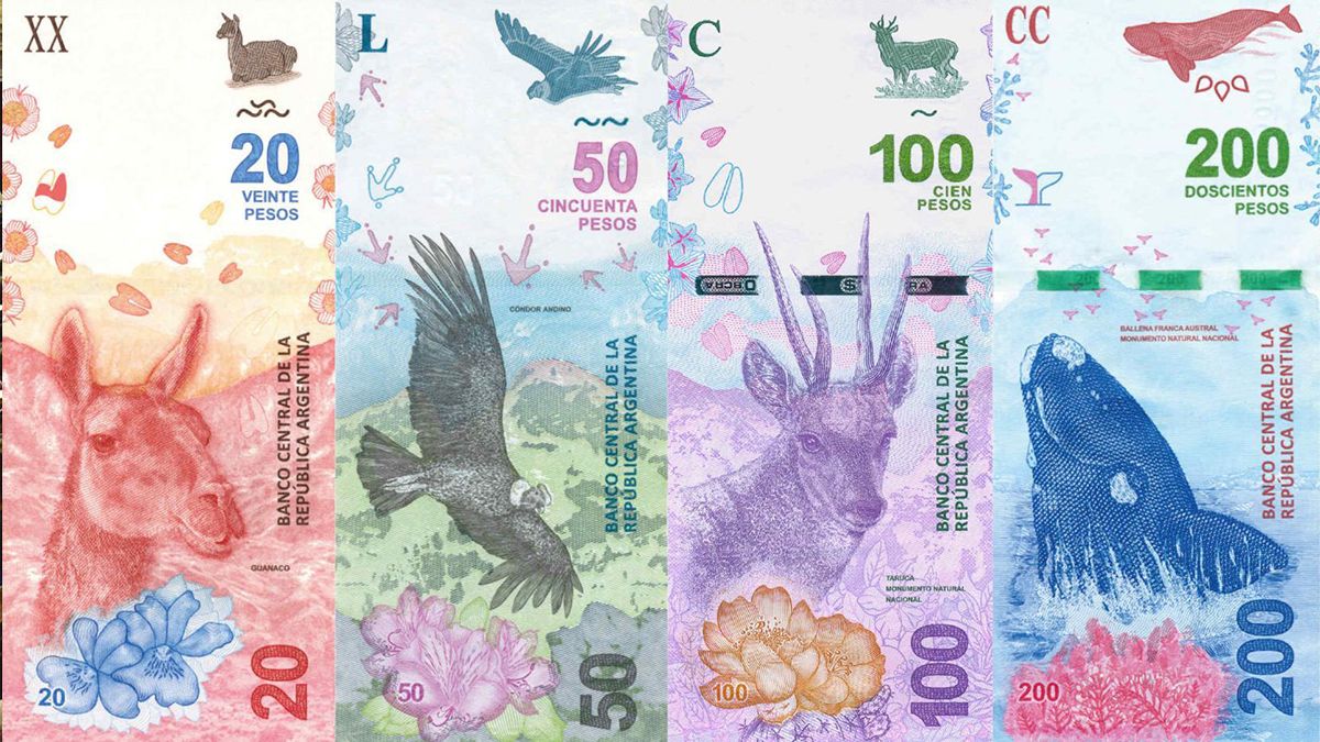 Alberto Fernández quiere sacar a los animales de los billetes: a quiénes pondría en su lugar