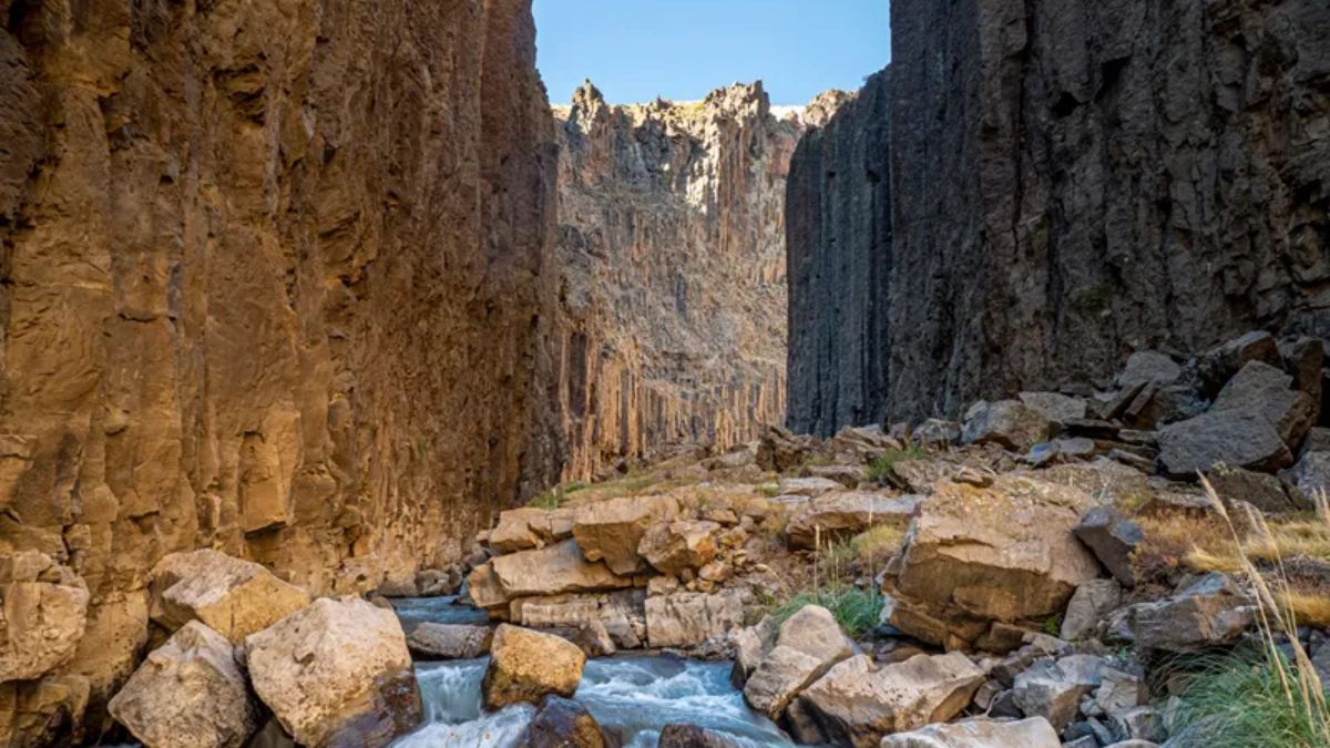 Los cóndores andinos sobrevuelan el cañadón y regalan una postal única del norte neuquino. Los cóndores andinos sobrevuelan el cañadón y regalan una postal única del norte neuquino.