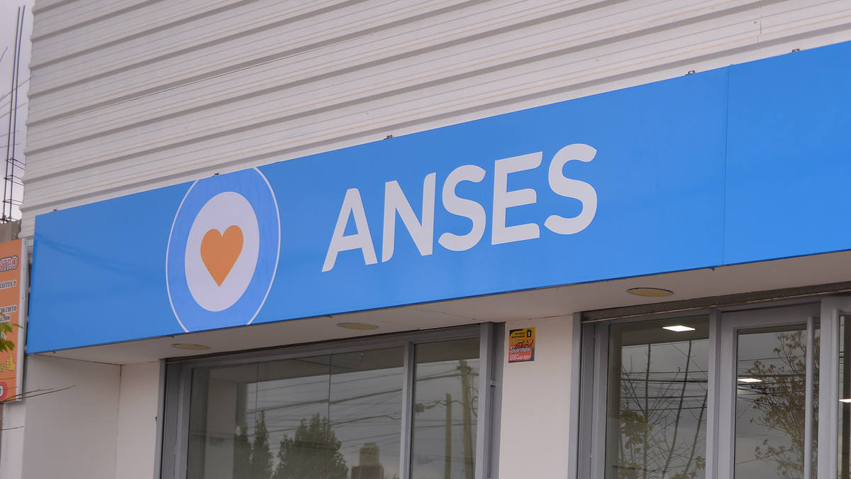 ANSES: tras una serie de cambios