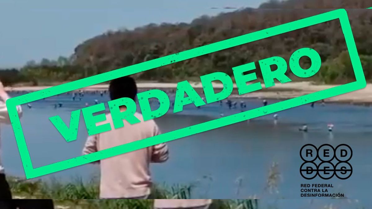 Es verdadero que en medio de la pandemia ciudadanos bolivianos intentaron ingresar ilegalmente en Salta