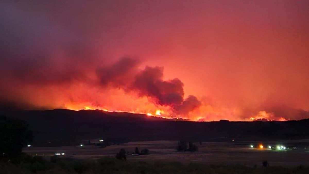El fuego avanzó sin control y hoy se habla de entre 40.000 y 50.000 hectáreas quemadas, una superficie equivalente a decenas de miles de manzanas urbanas. El fuego avanzó sin control y hoy se habla de entre 40.000 y 50.000 hectáreas quemadas, una superficie equivalente a decenas de miles de manzanas urbanas.