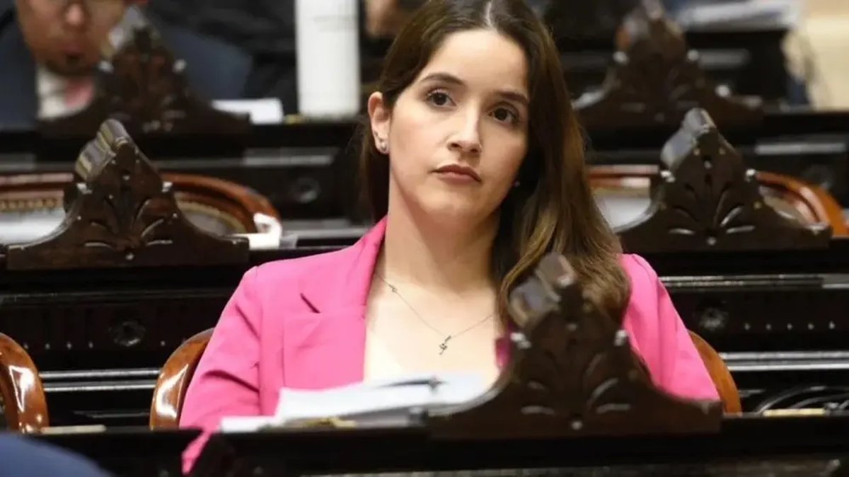Una diputada libertaria se confundió y votó a favor de su propia expulsión por la visita a represores. Una diputada libertaria se confundió y votó a favor de su propia expulsión por la visita a represores.
