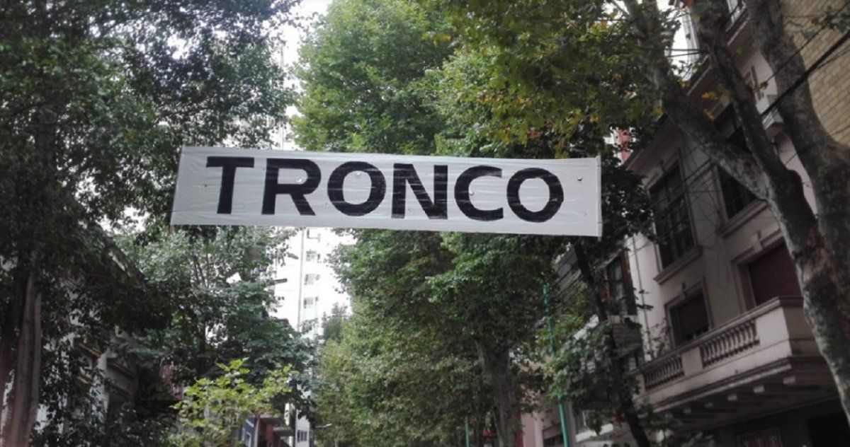 El misterioso pasacalle de amor que le dedicaron a la periodista Alejandra Quevedo