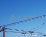 Los festejos en el Puente Colgante tuvieron la particularidad de que hubo personas que se subieron a los cables de acero. ¿Una de ellas estaba desnuda? Los festejos en el Puente Colgante tuvieron la particularidad de que hubo personas que se subieron a los cables de acero. ¿Una de ellas estaba desnuda?