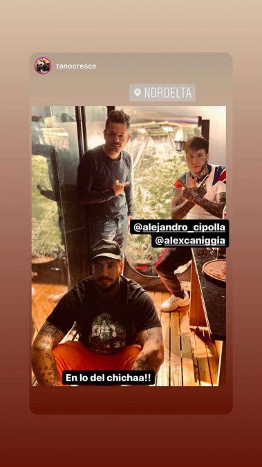 Alex Caniggia se filmó rodeado de plantas de marihuana.