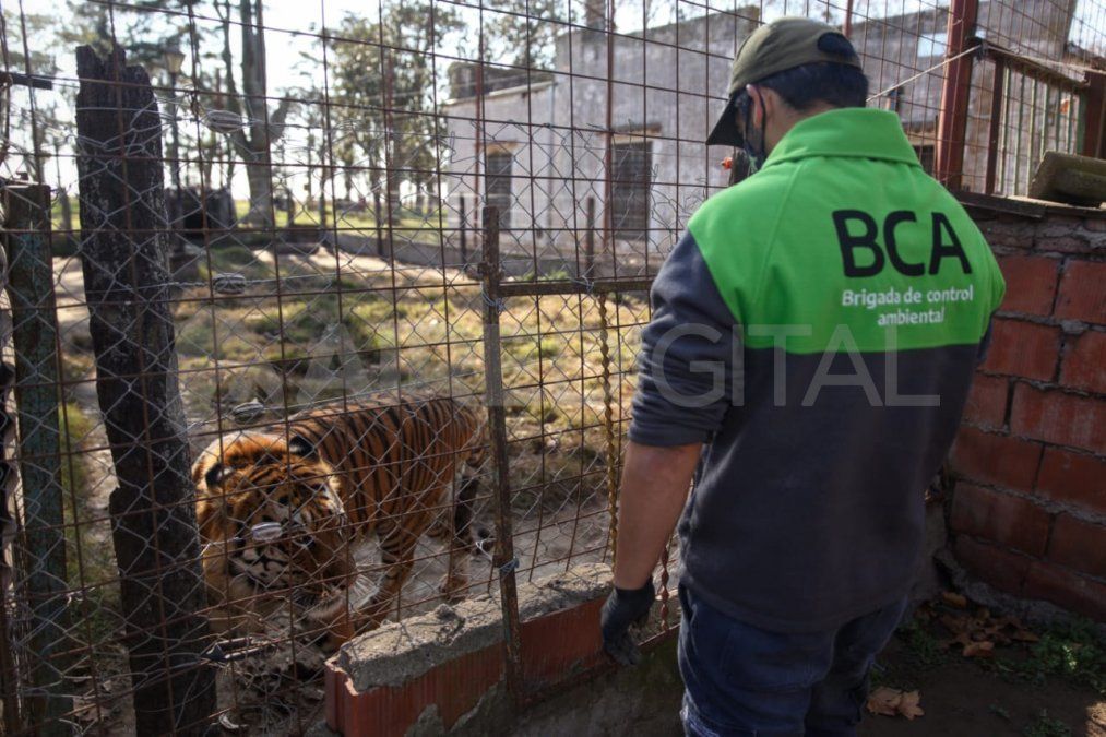 Allanamiento en Maggiolo, sur de la provincia de Santa Fe.