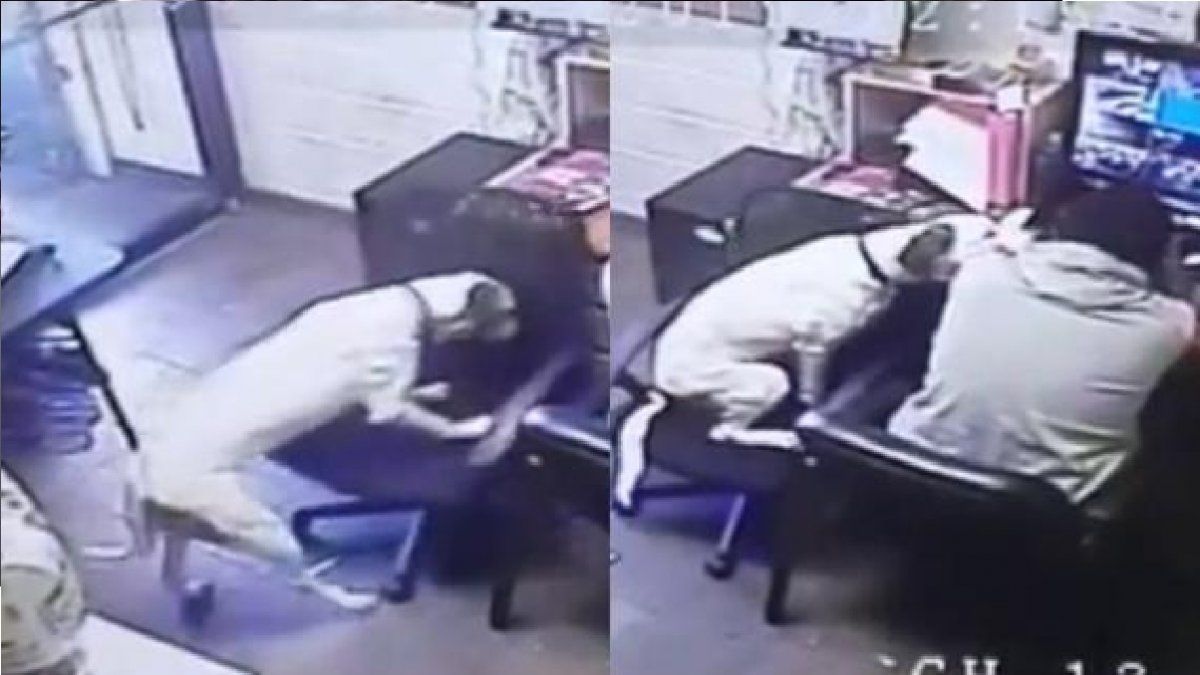 Un perro vio que su amo trabajaba solo y acercó una silla hacia él para hacerle compañía