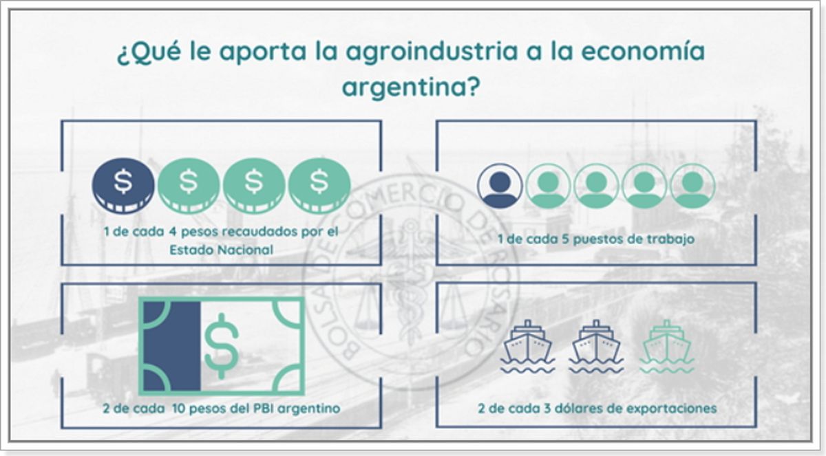 Impuestos, empleo, actividad y exportaciones: qué le aporta la agroindustria a la economía argentina. Impuestos, empleo, actividad y exportaciones: qué le aporta la agroindustria a la economía argentina.