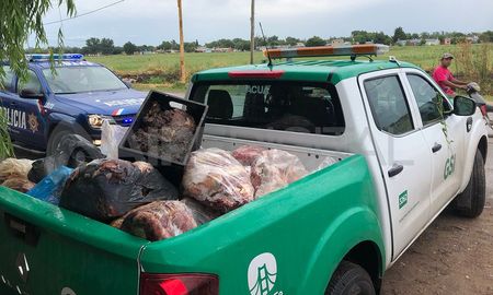 En la última semana, en Santa Fe se secuestraron más de 22 toneladas de carne, achuras y embutidos en mal estado. En la última semana, en Santa Fe se secuestraron más de 22 toneladas de carne, achuras y embutidos en mal estado.