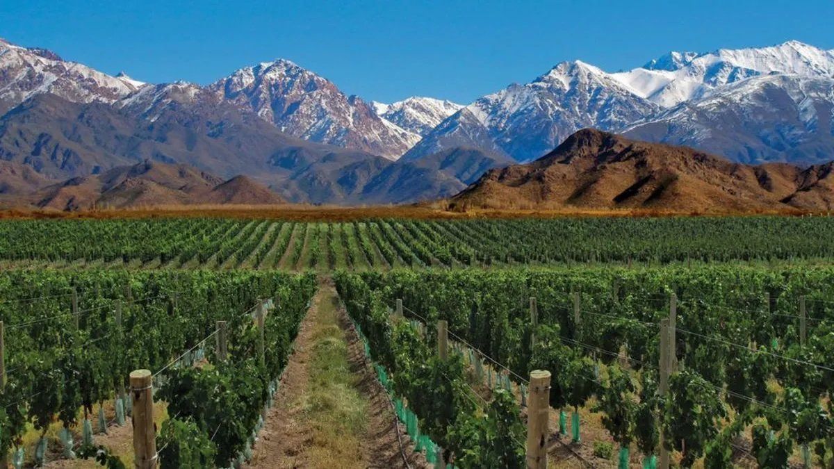 Vacaciones de Invierno: qué hacer en Mendoza entre viñedos y montaña