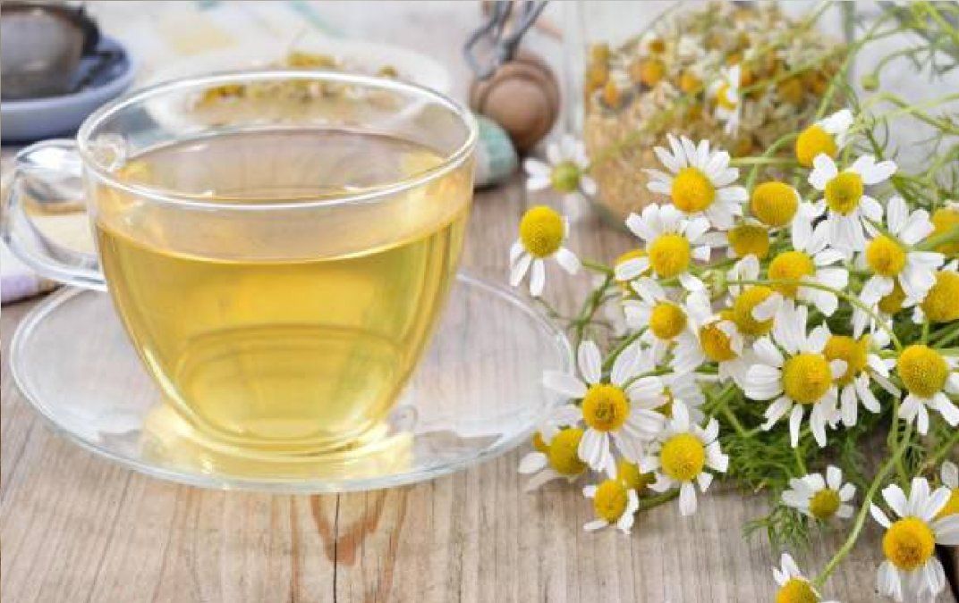 Té de manzanilla cuáles son sus