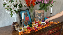 altText(Cómo armar un altar de Día de Muertos para los animales )}
