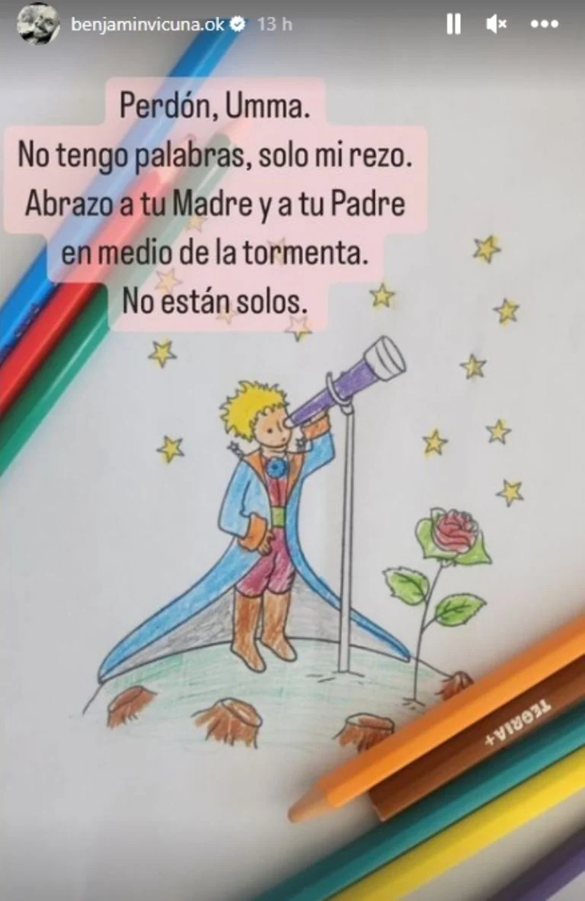 Benjamín Vicuña se mostró conmovido. Benjamín Vicuña se mostró conmovido.