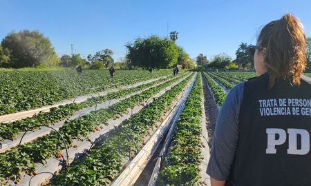 Personal de Trata de Personas en la quinta de frutillas de Arroyo Leyes que fue allanada.&nbsp;