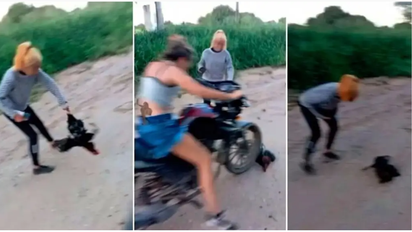 Conmoción en Santiago del Estero: denuncian a dos mujeres por torturar, matar animales y viralizar los videos