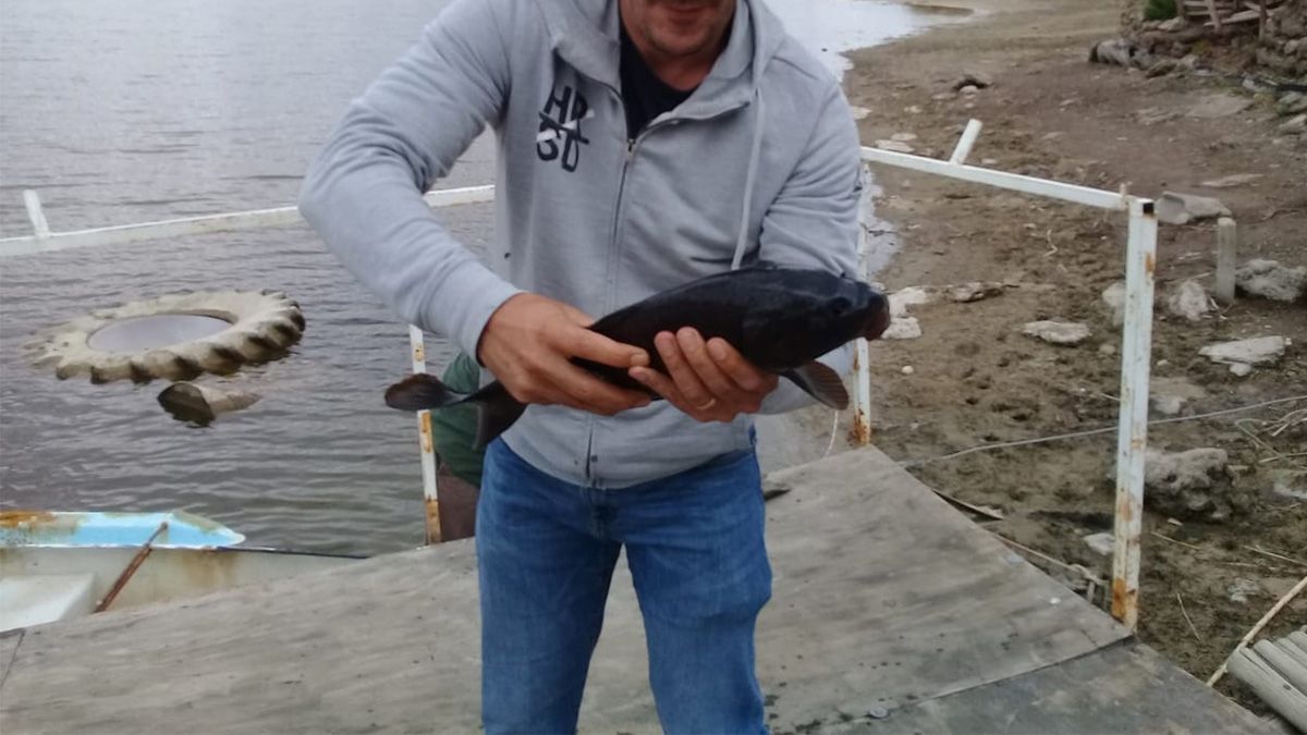 El departamento de Irrigación del Gobierno de la provincia de Mendoza tomó muestras en la laguna donde aparecieron peces muertos.&nbsp;