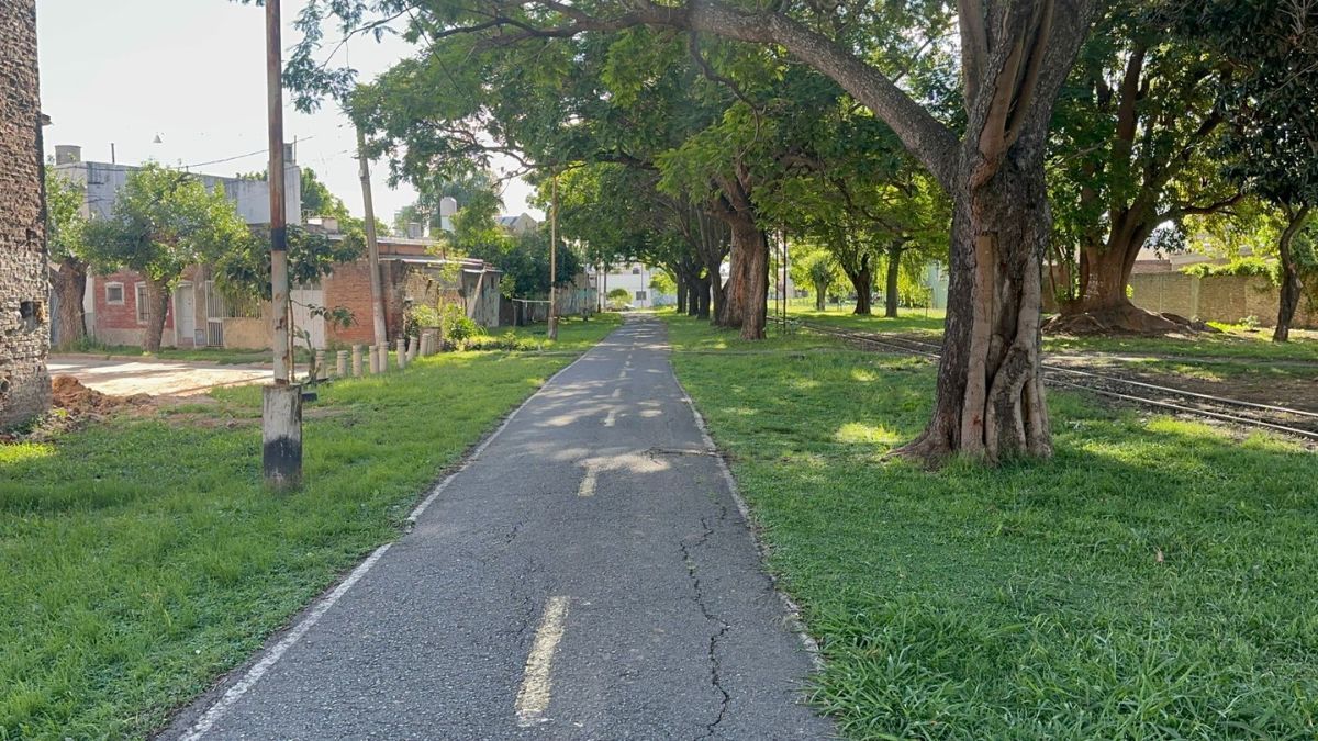 El Corredor Verde en el tramo de calle Pedro Zenteno y Avenida General Paz.
