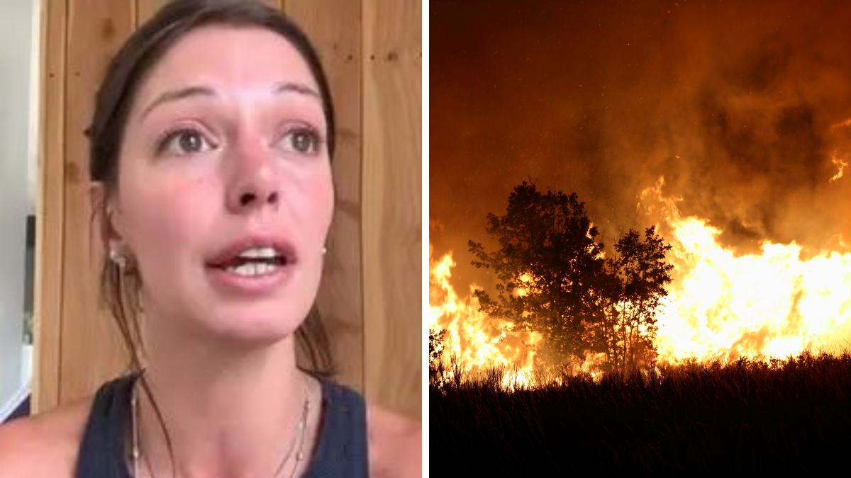 El reclamo viral en medio de los incendios en la Patagonia: No vengan más