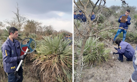 Desaparecido en Santa Clara de Buena Vista: rastrillajes en el campo de Julio Lodi Desaparecido en Santa Clara de Buena Vista: rastrillajes en el campo de Julio Lodi