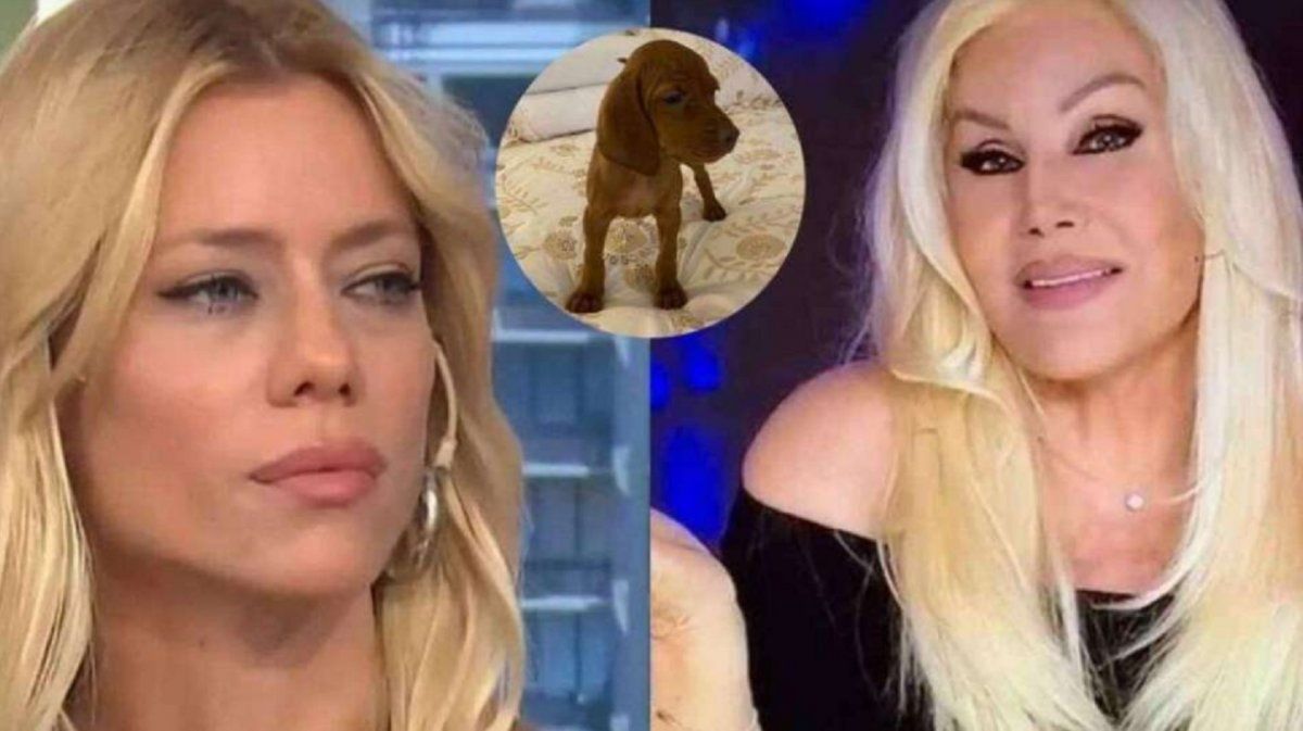 Nicole Neumann vs Susana Gim&eacute;nez