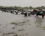 se declaro la emergencia agropecuaria con medidas clave para cuatro departamentos se declaro la emergencia agropecuaria con medidas clave para cuatro departamentos