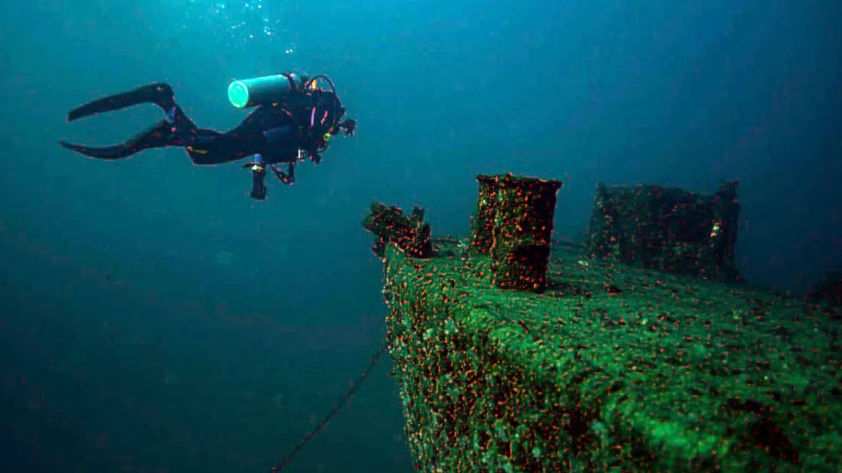 El árbol sumergido de Villa Traful se convierte en una experiencia única para buzos certificados. El árbol sumergido de Villa Traful se convierte en una experiencia única para buzos certificados.