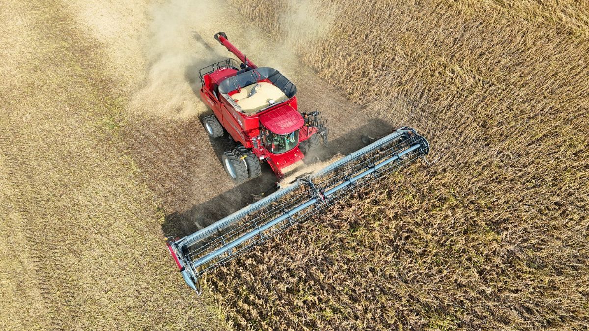 En la zona la trilla comenzó un poco antes este año. Foto: Gentileza