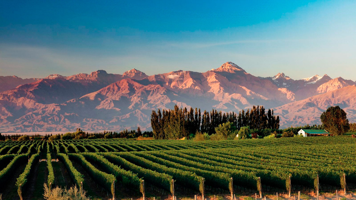 Mendoza: ideal para amantes del vino, las montañas y los ríos